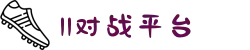 11对战平台 -最新版下载网站