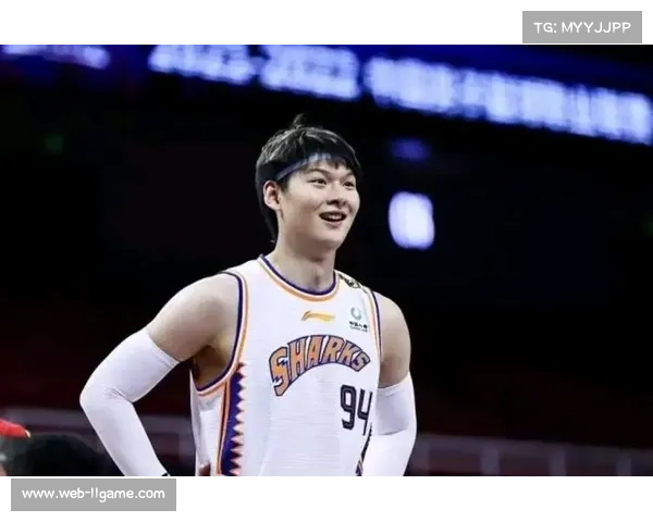 王哲林遭队友误伤倒地后坚持比赛，展现职业球员坚韧品质